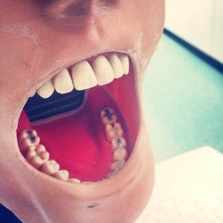 The plastic teeth and rubber face we do all our work on