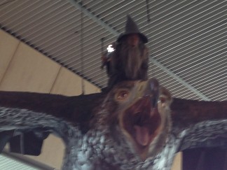 Welcome to Wellington - Gandalf on eagle