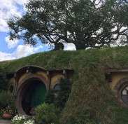 Bag End and the unreal tree of Hobbiton